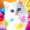 Аватара пользователя