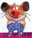 Аватара пользователя