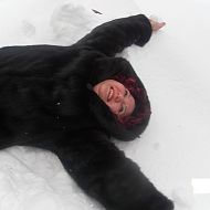 Аватара пользователя