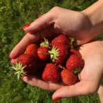 Аватара пользователя