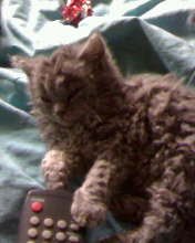 Место встречи изменить нельзя женихам и невестам: знакомимся, общаемся, приглашаем на свадьбы  - x_c193a709.jpg