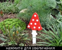 Украшения для участка - 26460_t_640x480_e1f8d5d32f8f_1.jpg