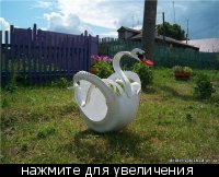 гордый лебедь - 30431_t_640x480__1.jpg