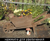 тачка садовая :  - 30682_t_800x600_DSCF4030_1.jpg