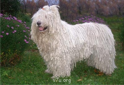 Отдавать ли ребёнка в лагерь? - zhan_01.jpg