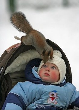 Генератор хорошего настроения - getImageEDGSANL6.jpg