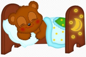 Умница, спортсмен и просто красавец - дома.jpg