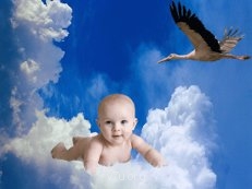 Я в начале пути - imgpreview (1).jpg