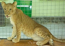 Убит ребенок. Еще один... - i (1).jpg