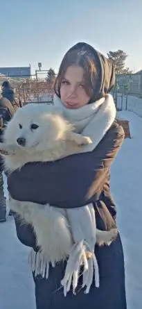 Выбывшие - dckmf-ofcw.webp