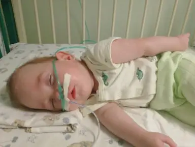 Покажите анкеты ребеночка до 5 лет любого пола  - 7wmf1-bybm.webp