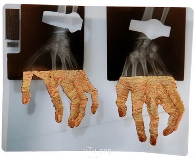 Удивительное рядом - 450afembro_4231129_3436337.jpg