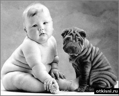 Юмор - складки.jpg