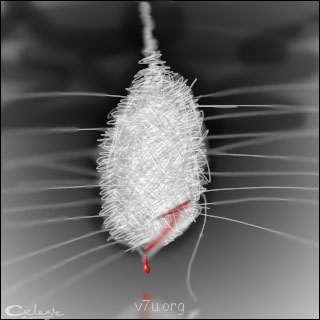 Путь к Богу и вере - kokon_320[1].jpg