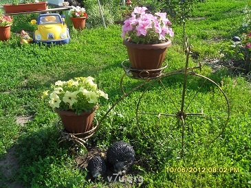 Украшения для участка - SDC11530.JPG