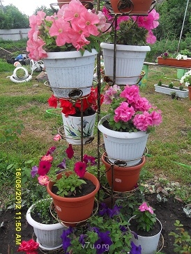 Украшения для участка - SDC11615.JPG