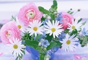 Чудесный приемный или кровный ребенок - 26268.jpg