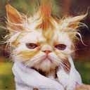 Ваше состояние души: мысли и чувства в картинке или мелодии - 018.jpg