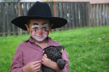 средний с курицей