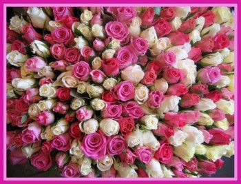 Истории Фимы - 13295285.jpg