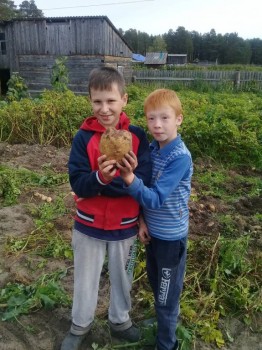 Солнечного настроения тем, кто ищет своих детей  - дома4.jpg