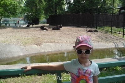 Животные и дети под одной крышей - P1020942.JPG