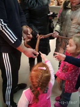 Моя история. Приёмный ребенок-младенец. - IMG_20171201_180752.jpg