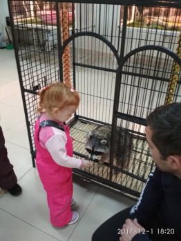 Моя история. Приёмный ребенок-младенец. - IMG_20171201_182010.jpg