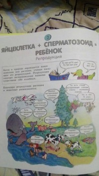 меня принимайте в сообщество :  - 1515773513266-407876019.jpg