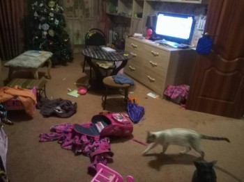 Воот ОНО счастье то!!