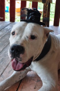 Крик души: возьмите меня в семью  - DSC_0013.jpg