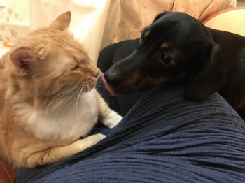 Крик души: возьмите меня в семью  - IMG_0226.jpg