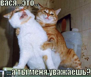 Одинокому мужчине есть шанс стать отцом? - ty-menya-uvazhayesh_1293911549.jpg