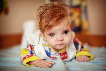 В кустах спокойно и тепло, но, видно, время подошло - 14201_1_jni1x.jpg