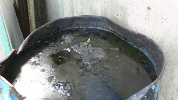 Угрюмые записки. - 1.jpg