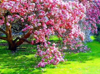 У природы нет плохой погоды - 22083017.jpg