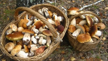 У природы нет плохой погоды - maxresdefault.jpg