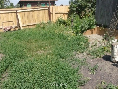 Пипетка, гламурная Катя и другие - 4a5e67712935.jpg