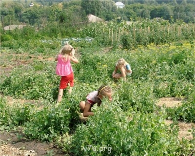 Пипетка, гламурная Катя и другие - 51c731cb4e03.jpg