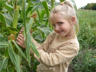 Пипетка, гламурная Катя и другие - 2bd2d4637d53.jpg