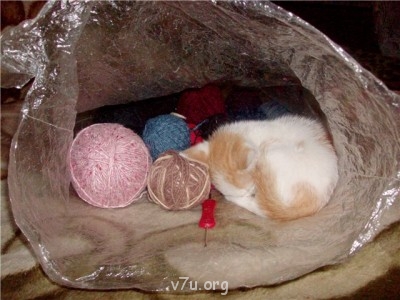 Пипетка, гламурная Катя и другие - 5c0b587943c4.jpg