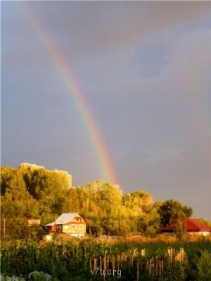 Пипетка, гламурная Катя и другие - 6a3d7f6dc434.jpg