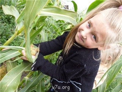 Пипетка, гламурная Катя и другие - 66a6c0a291fc.jpg