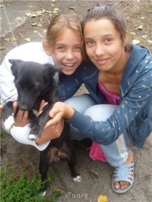 Пипетка, гламурная Катя и другие - 429669ad3a31.jpg