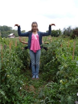 Пипетка, гламурная Катя и другие - a3c73199234a.jpg