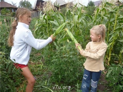 Пипетка, гламурная Катя и другие - b1e3c8280b10.jpg