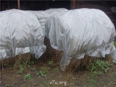 Пипетка, гламурная Катя и другие - егое.jpg