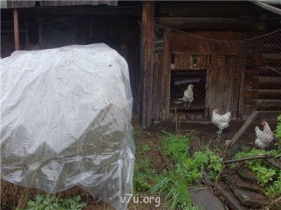 Пипетка, гламурная Катя и другие - ноеноан.jpg