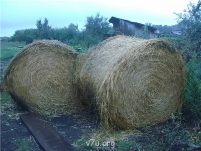 Пипетка, гламурная Катя и другие - олролл.jpg