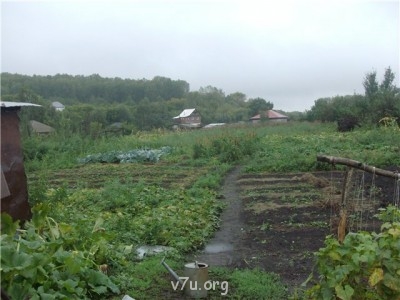 Пипетка, гламурная Катя и другие - логрл.jpg